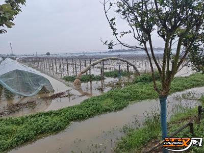 中国人民财产保险股份有限公司荆州市分公司：启动应急预案 助受灾主体尽快恢复生产