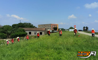 沙市区关沮镇：拉网式巡堤查险 筑牢防汛安全屏障