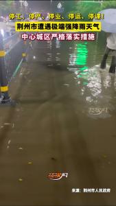 停工、停产、停业、停运、停课！荆州市遭遇极端强降雨天气，中心城区严格落实措施