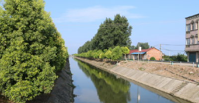 江陵县六合垸管理区：集中行动重拳整治河湖“四乱”