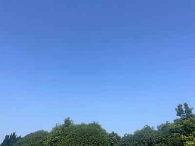 确认了！中雨大雨暴雨+雷电马上又到湖北！持续5天