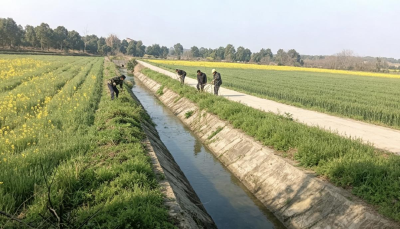 【办实事在行动】荆州区：“毛细血管”清通畅 水清岸绿入画来​