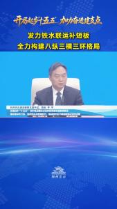 荆州市交通运输局党组书记、局长李平：发力铁水联运补短板 全力构建八纵三横三环格局
