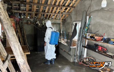 纪南文旅区纪南镇：开展环境消杀工作 助力群众恢复生产生活