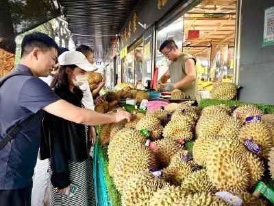 “榴莲自由”，真的要来了