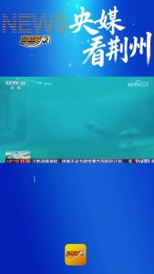 央媒看荆州 | 野化放归“微笑天使”重返长江