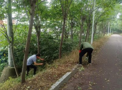 迎战新一轮强降雨 | 荆州区：未雨绸缪筑防线，东城街道下好防汛备涝“先手棋”