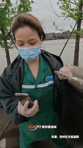 荆州：最硬核的救援！医生坐铲车救人