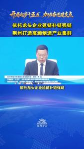 荆州市经济和信息化局党组书记、局长李浩：依托龙头企业延链补链强链，荆州打造高端制造产业集群