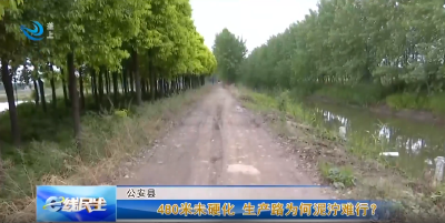 e线民生 | 480米未硬化 生产路为何泥泞难行?