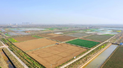 荆州：财政润荆楚 沃野稳粮仓