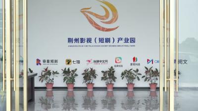 “智绘荆院 影创未来”——“政校企”AI视听产业创新发展暨产教融合人才培养项目启动大会举行
