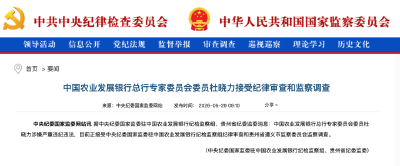涉嫌严重违纪违法，杜晓力被查！