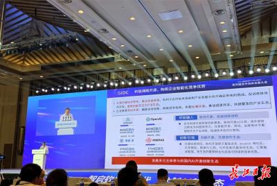 一场软件大会，为何引来这么多硬件企业