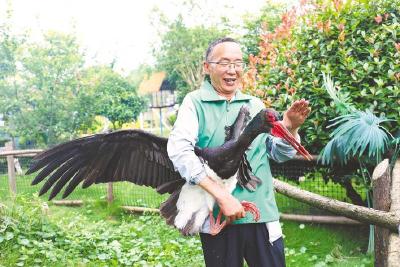 江陵“守鹤人”27年救护1200多只珍稀鸟类 “也许有一天，仙鹤真的会飞回来”