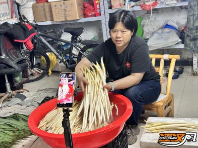 洪湖农商银行：深耕莲藕特色链 书写水乡共富答卷