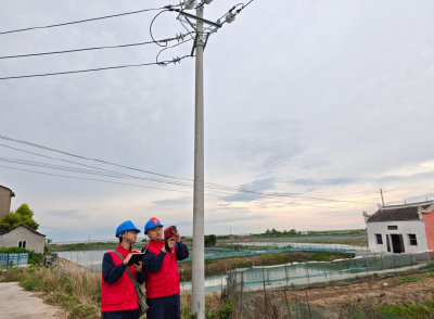 国网洪湖市供电公司：端午遇风雨 中考护光明