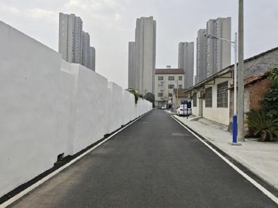 荆州区郢城镇：改出宜居新生活 绘就治理新答卷