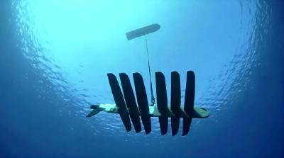 国安部披露：有活体海洋动物被挂上传感器，窃取海洋敏感数据