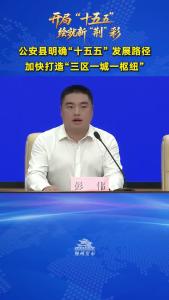 公安明确“十五五”发展路径 加快打造“三区一城一枢纽