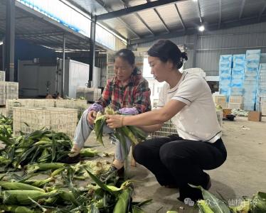 她把仙桃这些农副产品推向全国