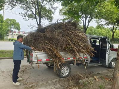 【办实事 在行动】变被动管控为主动服务 荆州经开区南港河社区秸秆清运服务直达田间地头