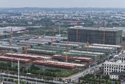 建设再提速！新两湖副食干调粮油批发市场冲刺9月运营