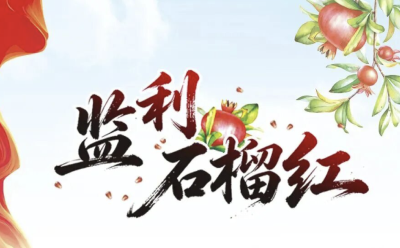 长篇报告文学《监利石榴红》第三部分“追梦记”