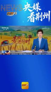 6月2日，央视新闻频道《新闻直播间》播出了荆州市融媒体中心和公安台拍摄的新闻《三夏时节 湖北荆州 抢抓农时进行中稻播种和各类农作物补种》