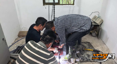 石首市天鹅洲：极速抢修排险情  全力护航农业生产