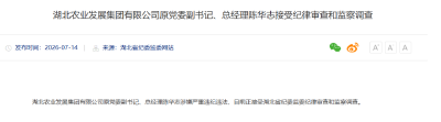 湖北省纪委监委最新通报