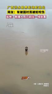 广西洪水致养蛇场蛇逃出，有被困村民被咬伤，救援人员已前往一线处置！