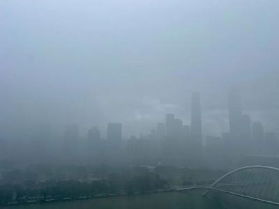 “美莎克”即将登陆，多地停课、停运、停航