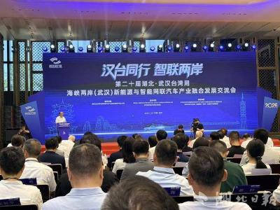 “我第一次来武汉，一定会再来”台商看好武汉，看中车谷汽车产业链