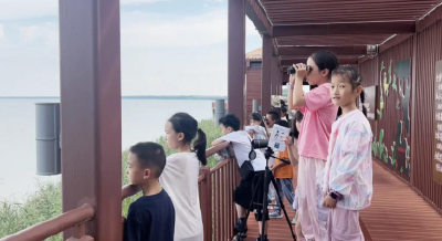 等你来探秘！石首天鹅洲国宝夏令营开始招募啦