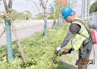 致敬高温下的劳动者丨护绿人杨保全：挥汗“保全”城市青绿