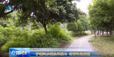 e线民生 | 护城河步道杂草疯长 城管快速清理