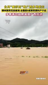 台风“美莎克”致广西多地受灾 多家茶饮品牌驰援广西抗洪