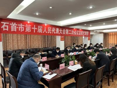 石首市第十届人民代表大会第二次会议举行分组讨论