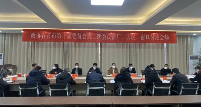 市政协十届二次会议举行分组讨论