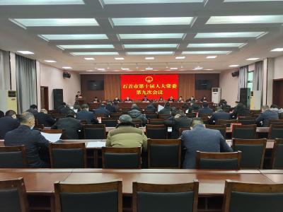 市人大常委会审议并通过《市人民政府2023年春节期间燃放烟花爆竹“禁改限”工作方案（草案）》