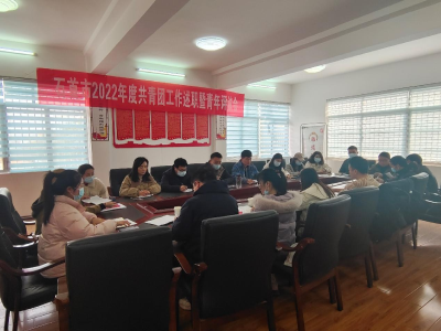 团市委组织召开2022年度共青团工作述职暨青年评议会议