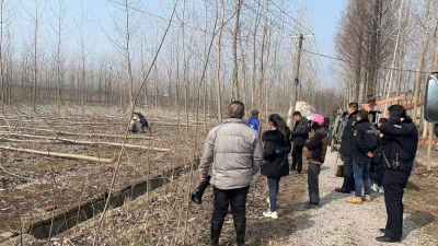 高基庙镇：遏制耕地“非粮化”确保良田“粮”用