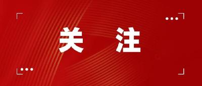 付勇带队开展全市双征项目3月份“逢五调度”工作