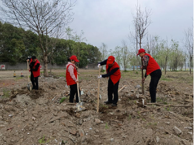 市原种场开展新时代文明实践植树造林志愿服务活动