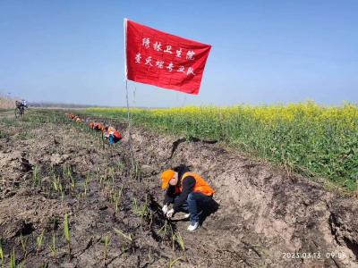 绣林街道办事处卫生院组织开展春季查灭螺活动