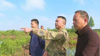 市领导李林海开展巡湖工作
