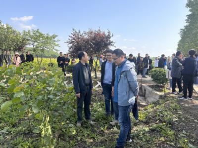 省林业局在我市举办林业科技推广项目培训活动      