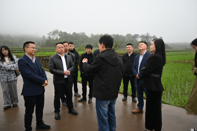 石首市赴浙江丽水考察学习山水项目