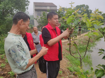 线上线下齐发力  农技服务不断档